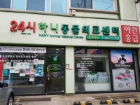 협회구조길냥이 - 임신 한 채 다쳐 새끼 잃은 양순이 치료 완료 했어요~!