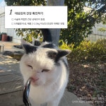 다옴티엔알 | 카드뉴스 - 잠깐, 우리는 지금 올바른 방법으로 TNR을 진행하고 있나요?