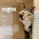 이쁜이미용실연무 | 카드뉴스 - 전부 다 이쁜 ‘이쁜이’의 이야기