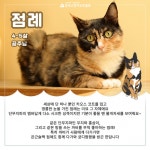 홍삼농성판매점 | 스토리 - 23.03 _평생가족 찾기 프로젝트|끈끈한 우정과 의리의 단무지파를 소개합니다!