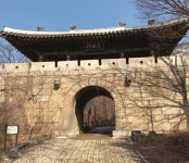 녹십초고양행신지사 | 경기도 고양시 : 전통산사문화재