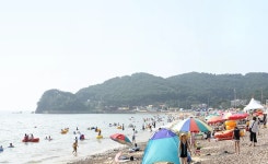 339빌리지태안안면도독채펜션가족단체커플수영장바닷가갯벌 | 안면도 여행 | 참여마당 |