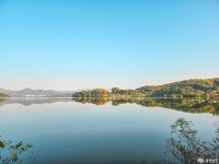 포토뉴스 - 충청남도 누리집(홈페이지) 충청남도 누리집(홈페이지)