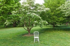 Photo Park(포토박) | White chair in the park Ready for photo shoot | Stock Photo | Colourbox