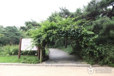 창의인성교육넷(크레존) - 자생식물학습장 자생식물학습장