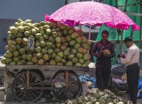 Slim pickings this summer for customers as supply of tender coconuts get scarce in city | Deccan Herald Slim pickings this summer...