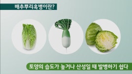 무농이플러스 | 홍보영상 | 한국농업 대표기업 | 팜한농 한국농업 대표기업 | 팜한농 | 홍보영상