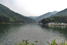 낚시사랑 > 산세좋고 물맑은 가족 휴양 낚시터~ : 낚시사랑
