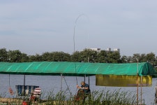 Foto aus Naver-Suchergebnissen 1