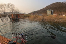 청춘어락 > 송전지 장수 좌대 : 낚시사랑