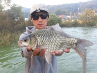 귀족강아지 > 고삼 삼은좌대 35cm 외 준척4수 : 낚시사랑