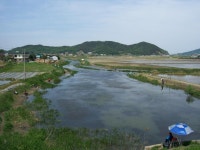 우리동네횟집삼원낚시 | 김포삼원낚시 통신원속보 > 5월10일강화와 김포권입니다 ....... : 낚시사랑