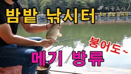 태공조사 > 유튜브 태공조사 밤밭낚시터 메기낚시와 붕어낚시 동시진행! : 낚시사랑