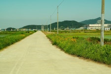 행복호민박낚시 | 솔바람소리 > 평택호 행복한 동행 : 낚시사랑