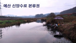 낙하산 > 낙하산의 낚시여행...(2부 : 충남 예산 신양수로 본류권) : 낚시사랑