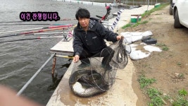 남창낚시터 유료낚시터 > 드디어 빅피쉬, 몬스터 피쉬가 나타났습니다 : 낚시사랑