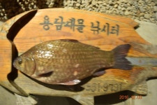 태성토산용담지점 | 용담낚시터 유료낚시터 > 포천용담토종붕어잡이터 : 낚시사랑
