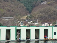 오빈낚시터 유료낚시터 > ***오빈낚시터*** 주말 조황정보및 방류 소식 전합니다 : 낚시사랑