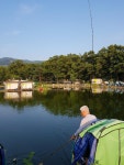 우금낚시공원 유료낚시터 > 밤낚시 너무좋습니다. : 낚시사랑