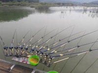 돌배좌대 유료낚시터 > 고삼돌배좌대 : 낚시사랑