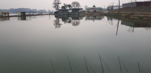 삼성지낚시터 유료낚시터 > 주중 삼성낚시터조황 : 낚시사랑
