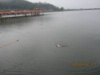 Foto aus Naver-Suchergebnissen 2