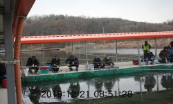 신선지 유료낚시터 > 강화 빙어, 송어 낚시 행사 2주차 소식 : 낚시사랑