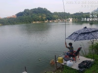 고초골낚시터 유료낚시터 > 고초골 주중 어자원 방류 및 조황상황 : 낚시사랑