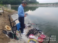 고초골낚시터 유료낚시터 > 고초골 주말조황 및 어자원방류상황 : 낚시사랑