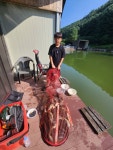 안흥낚시공원 유료낚시터 > 가족과 함께 시원한 강원도로 오세요^^ : 낚시사랑