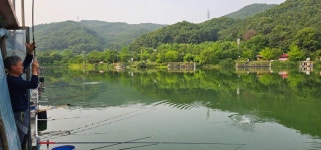 양평수곡낚시터 유료낚시터 > 7월 여름시즌 양평 수곡낚시터 계곡지 피서낚시 주후반주말 조황 큰기복없이 꾸준한 조과들입니다 : 낚시사랑
