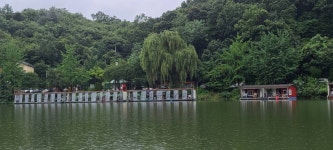 양평수곡낚시터 유료낚시터 > 여름휴가 피서 힐링 양평 수곡낚시터 꾸준한 조황속 편차는 다소 있었네요 7월끝주말 주후반 조황 : 낚시사랑
