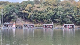 요덕골 유료낚시터 > 주말조황입니다, : 낚시사랑