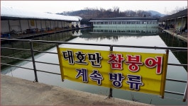 시마리 > 토종붕어가 사는 손맛터,서오능낚시터. : 낚시사랑