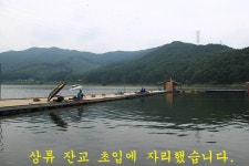 은물결2 > 척상급이 줄줄이 - 마둔낚시터 : 낚시사랑