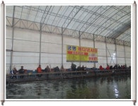 궁평바다낚시터 바다낚시조황 > 궁평바다실내낚시터 12월31일 (토)요일조황입니다. : 낚시사랑