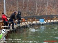대부도바다낚시터 바다낚시조황 > 2023년 3월 9일 목요일 우럭 농어 조황 : 낚시사랑