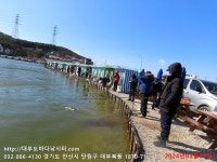 대부도바다낚시터 바다낚시조황 > 2024년 3월 1일 삼일절 우럭 조황 : 낚시사랑