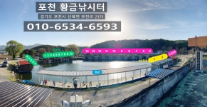 황금낚시터 유료낚시터 > 원 주인^^ : 낚시사랑