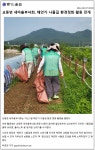 교동새마을부녀회소망의탑 | 우리마을소식-교동면 새마을부녀회, 해안가 나들길 환경정화 활동 전개 내용 | 강화군 읍·면>동네 알림방