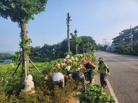 가로화단 4공구 | 보도자료- 양도면 한국여성농업인회, 함께 만들어요! 쾌적한 가로화단! 내용 | 강화군청>강화소개>강화소식