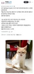 결벽증인줄 알았는데 - 인스티즈(instiz) 이슈 카테고리 결벽증인줄 알았는데