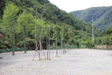 와라캠핑장
