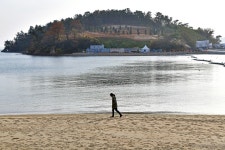 Naver search result photo 6