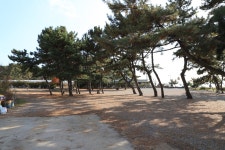 비치캠핑장