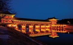 제이디유통경주점 | 매거진 경주