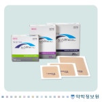약학정보원