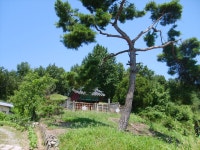 문화재이미지 | 충주 이시진 효자각 원경 충주 이시진 효자각 원경