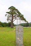 Фото из результатов поиска Naver 6