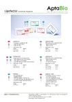 Lipofector - Transfection reagent | 연구용제품 > Bio마켓 | BRIC
